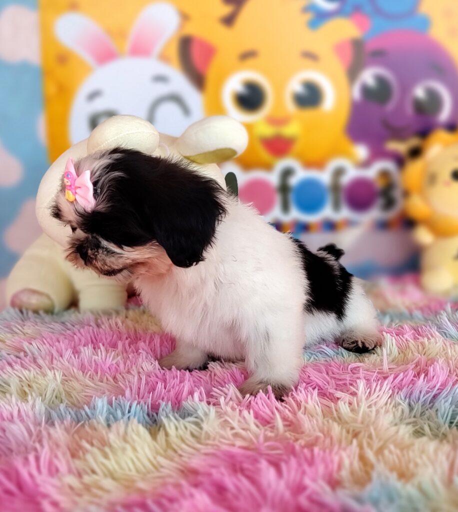 IMG_20230920_131558769_MF_PORTRAIT