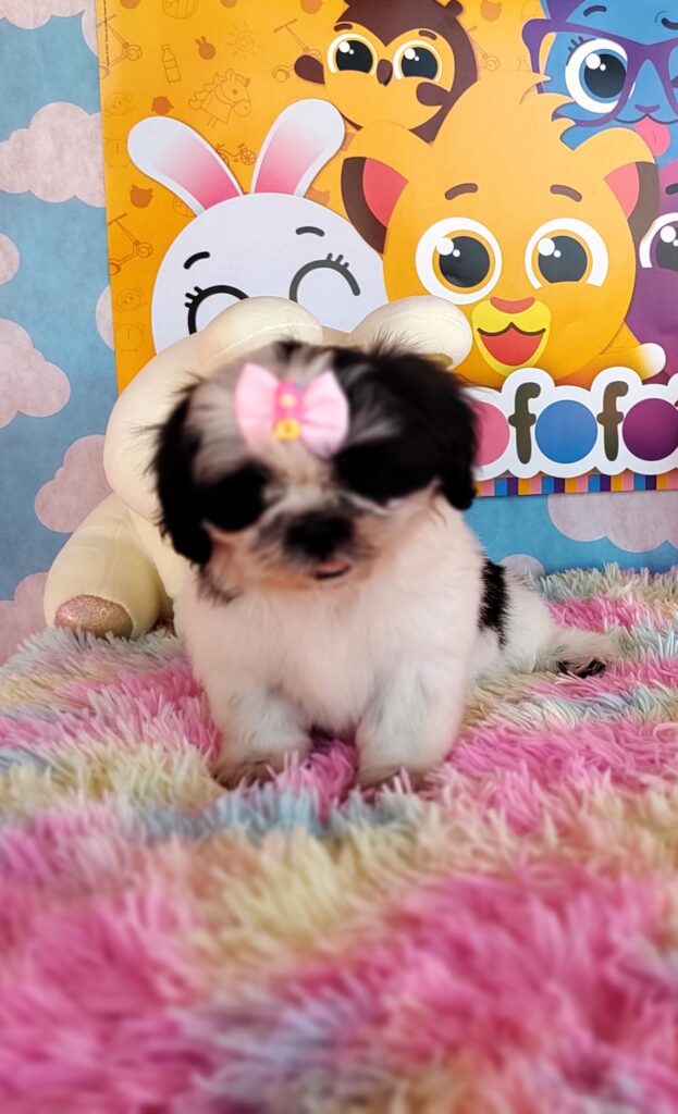 IMG_20230920_131602555_MF_PORTRAIT