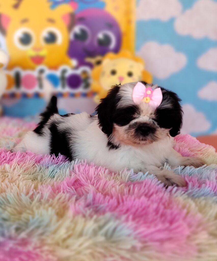 IMG_20230920_131628675_MF_PORTRAIT