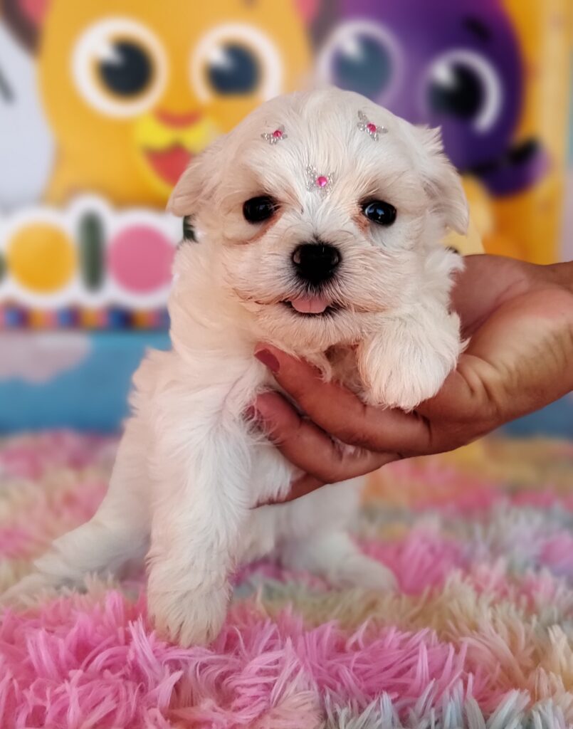 IMG_20230920_132115389_MF_PORTRAIT