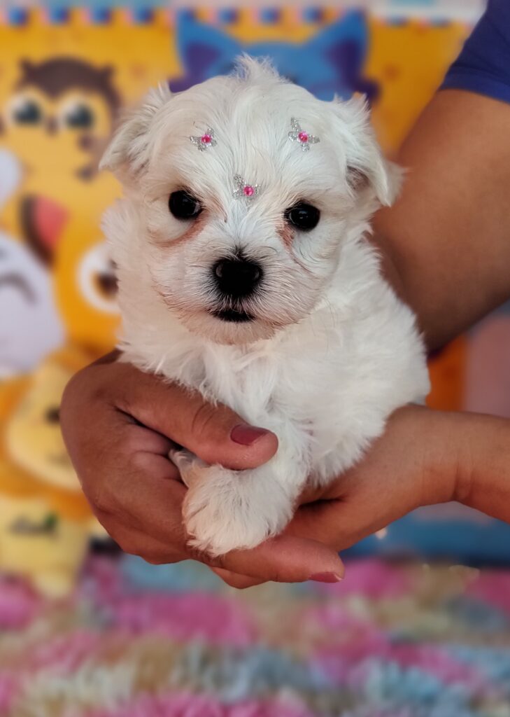 IMG_20230920_132323244_MF_PORTRAIT