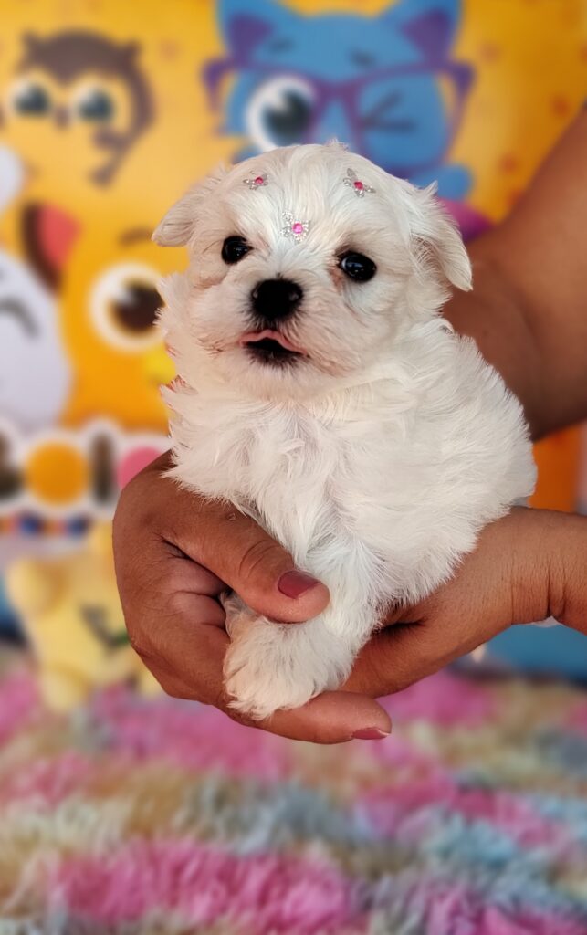 IMG_20230920_132326609_MF_PORTRAIT