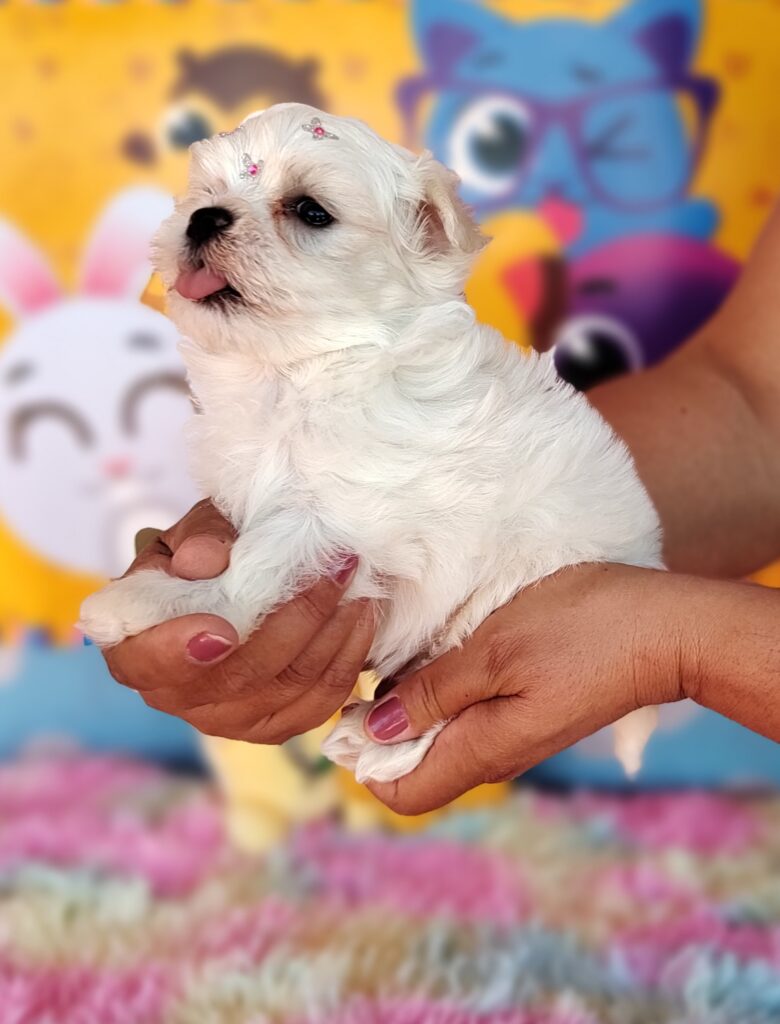 IMG_20230920_132328005_MF_PORTRAIT