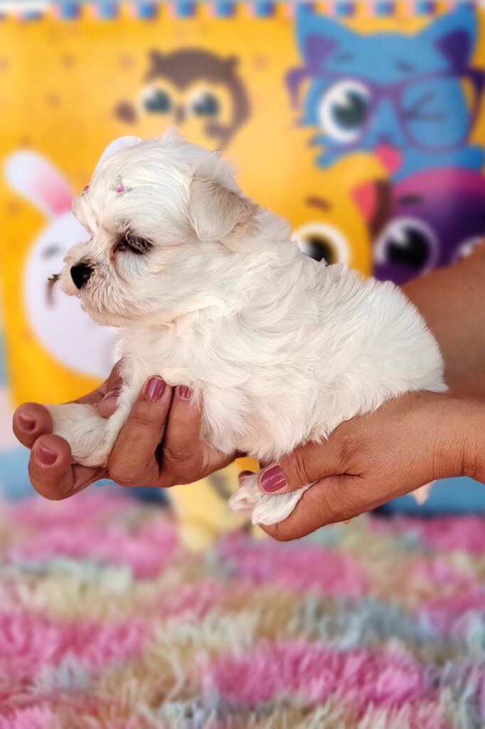 IMG_20230920_132328947_MF_PORTRAIT