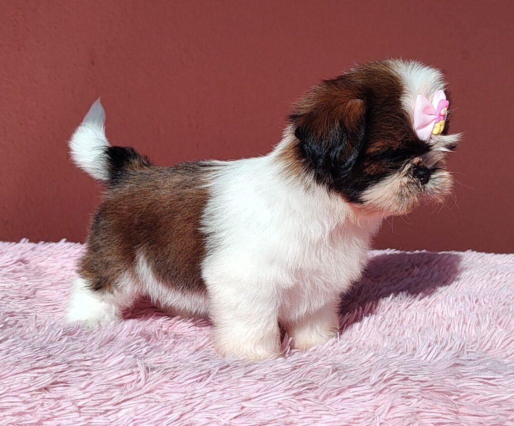 IMG_20230923_080343173