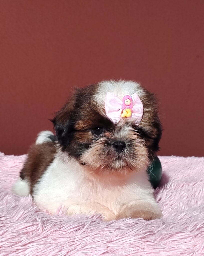 IMG_20230923_080437727