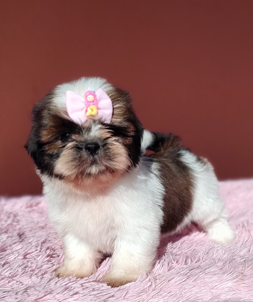 IMG_20230923_080708617_MF_PORTRAIT