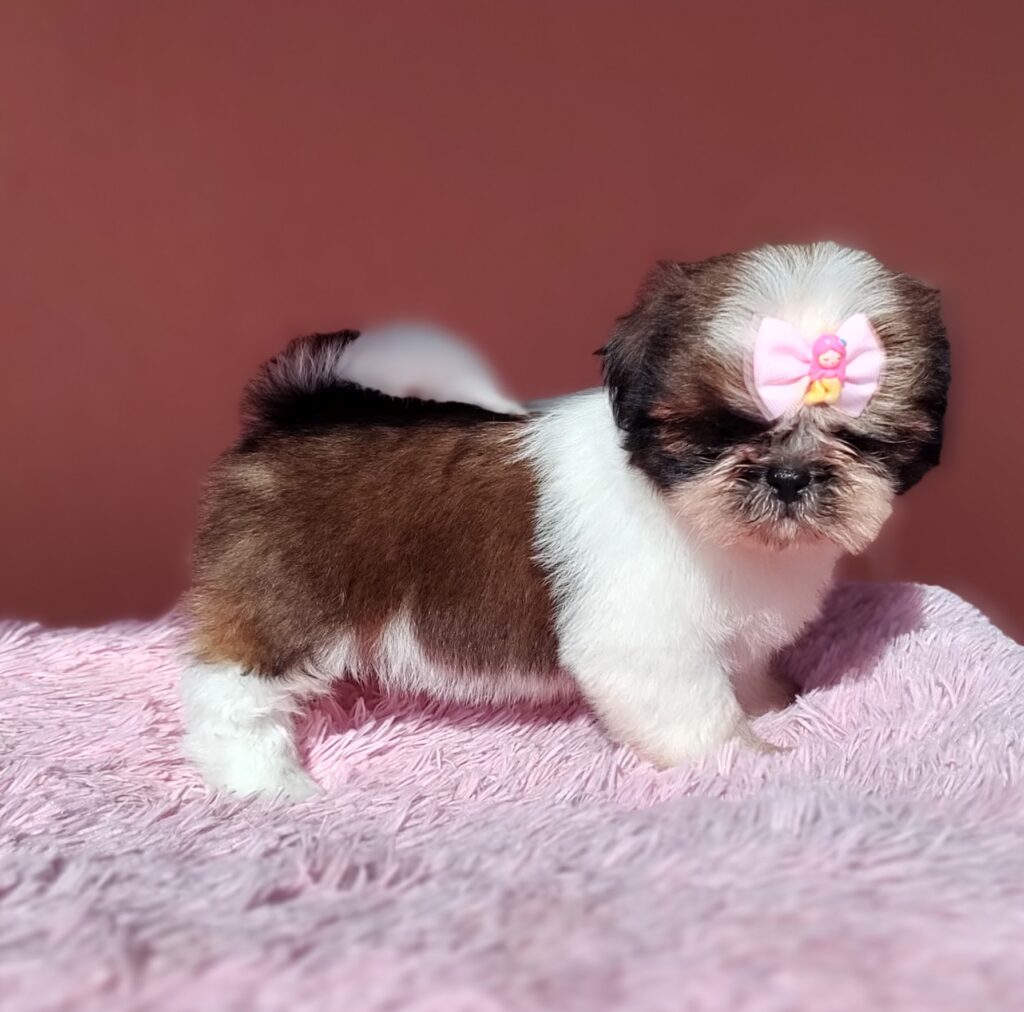 IMG_20230923_080826996_MF_PORTRAIT