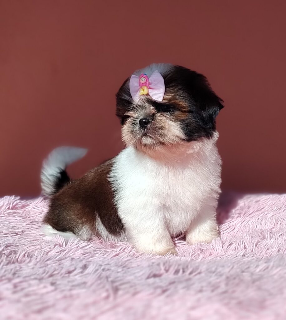 IMG_20230923_080835732_MF_PORTRAIT