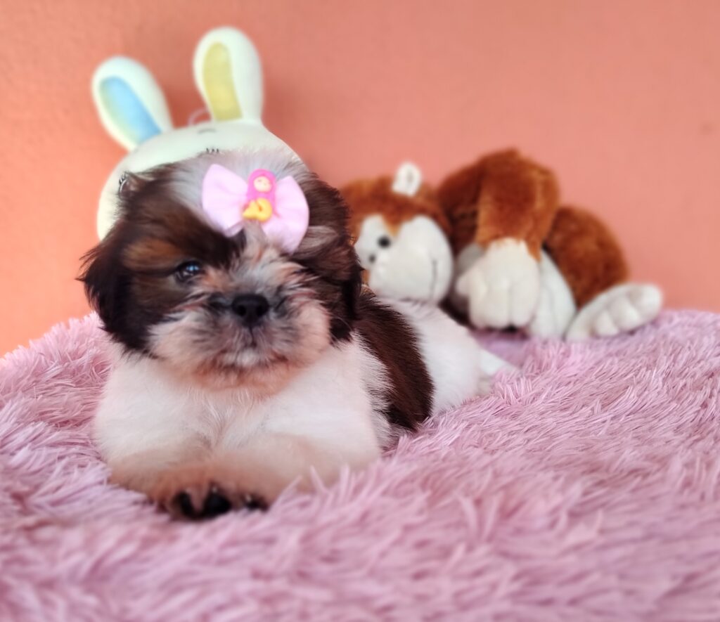 IMG_20230923_083027984_MF_PORTRAIT