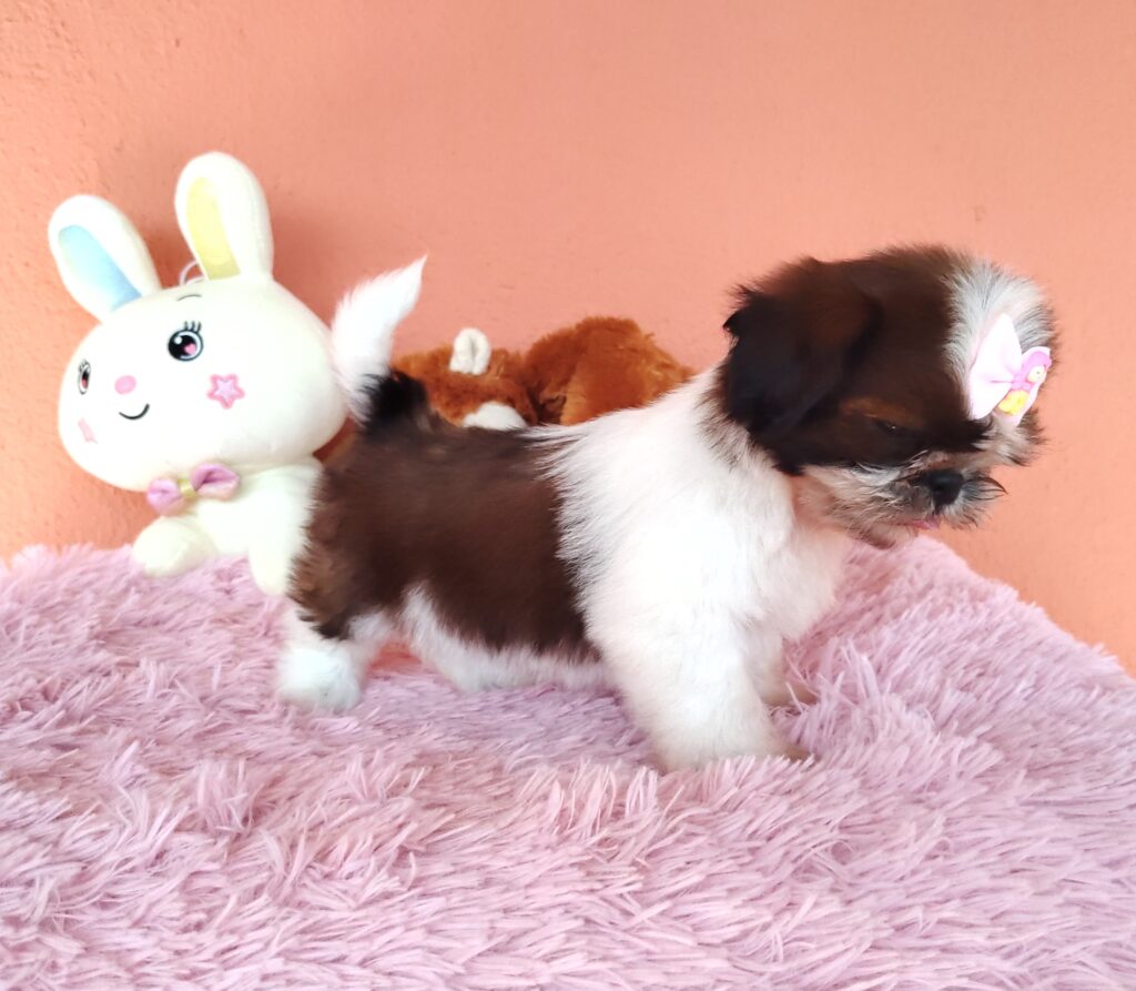 IMG_20230923_083315888