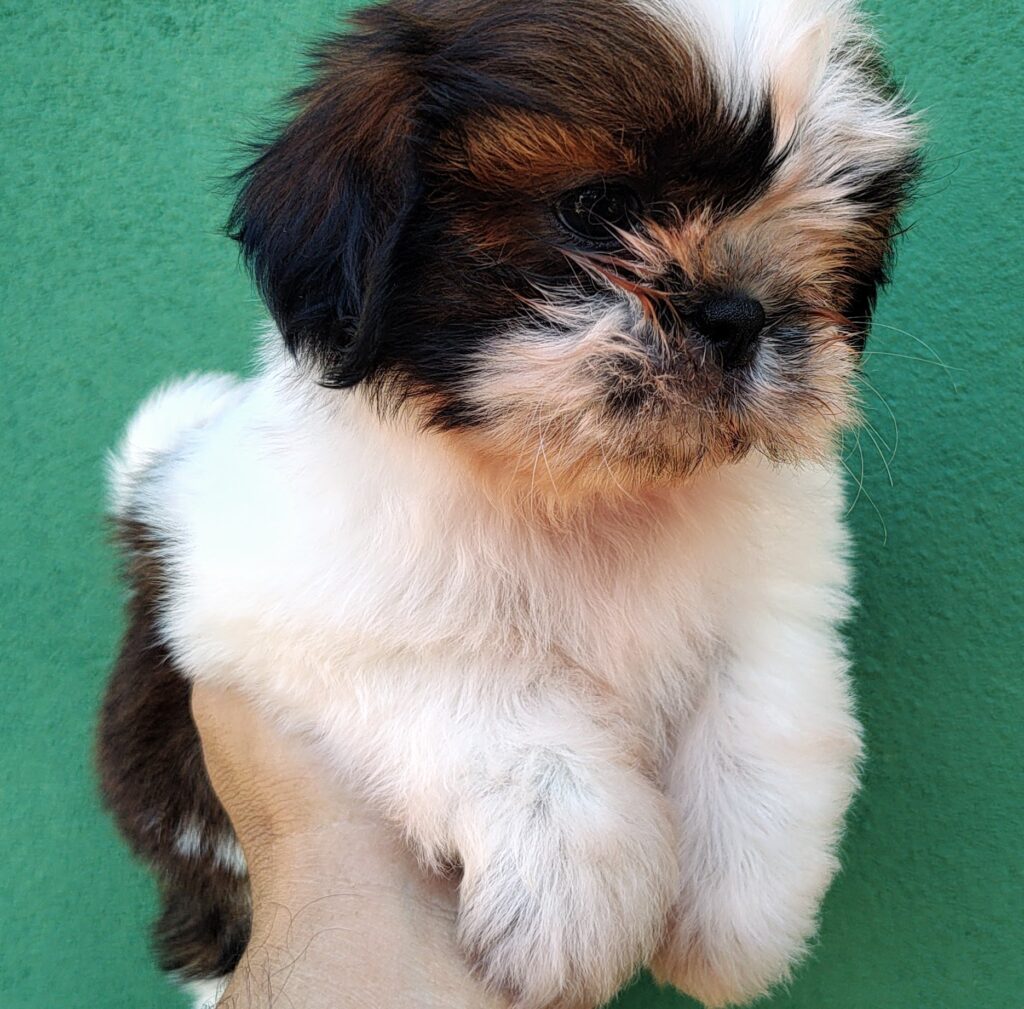 IMG_20230923_083921877