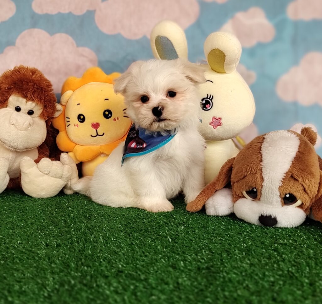 IMG_20231003_151022337_MF_PORTRAIT