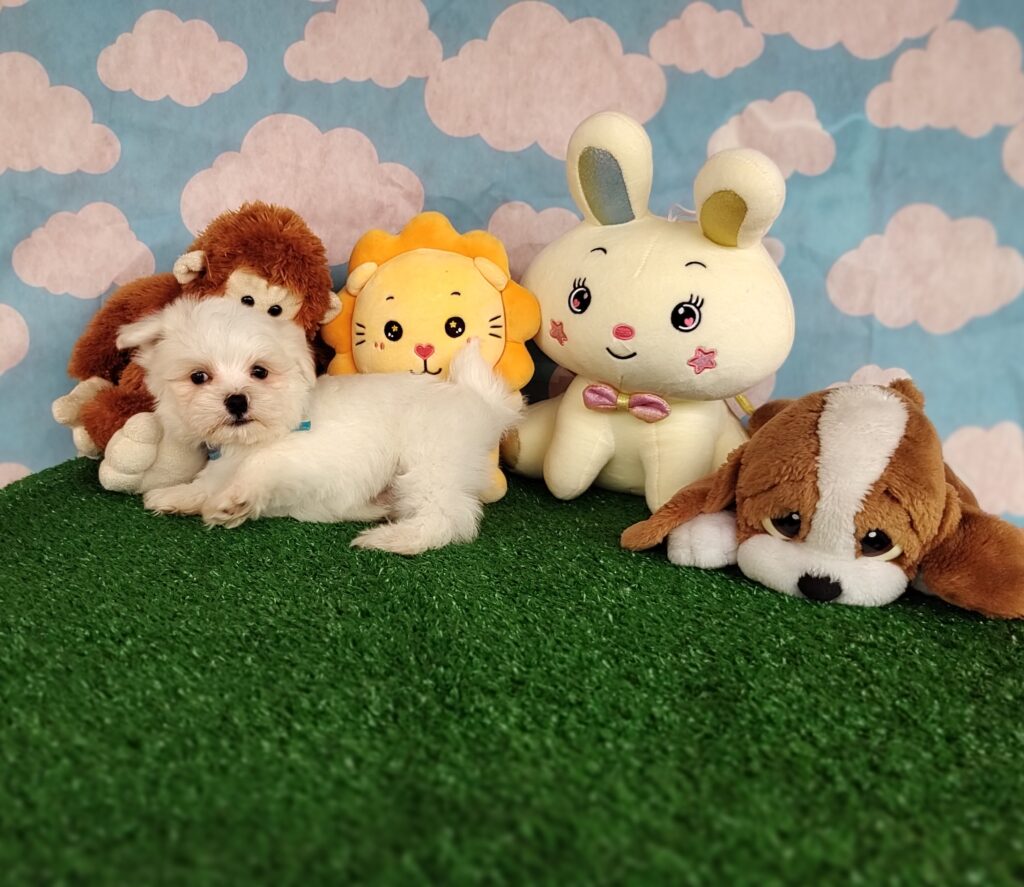 IMG_20231003_151034227_MF_PORTRAIT