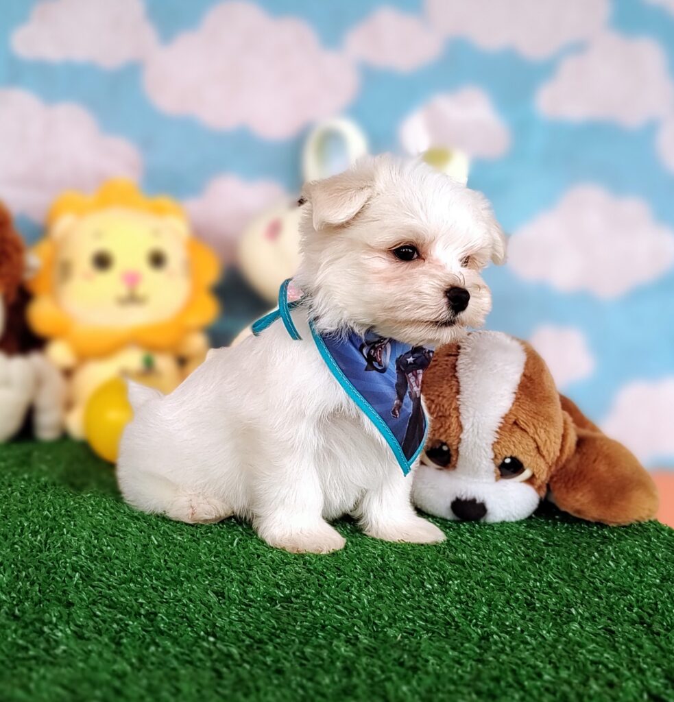 IMG_20231003_151250802_MF_PORTRAIT