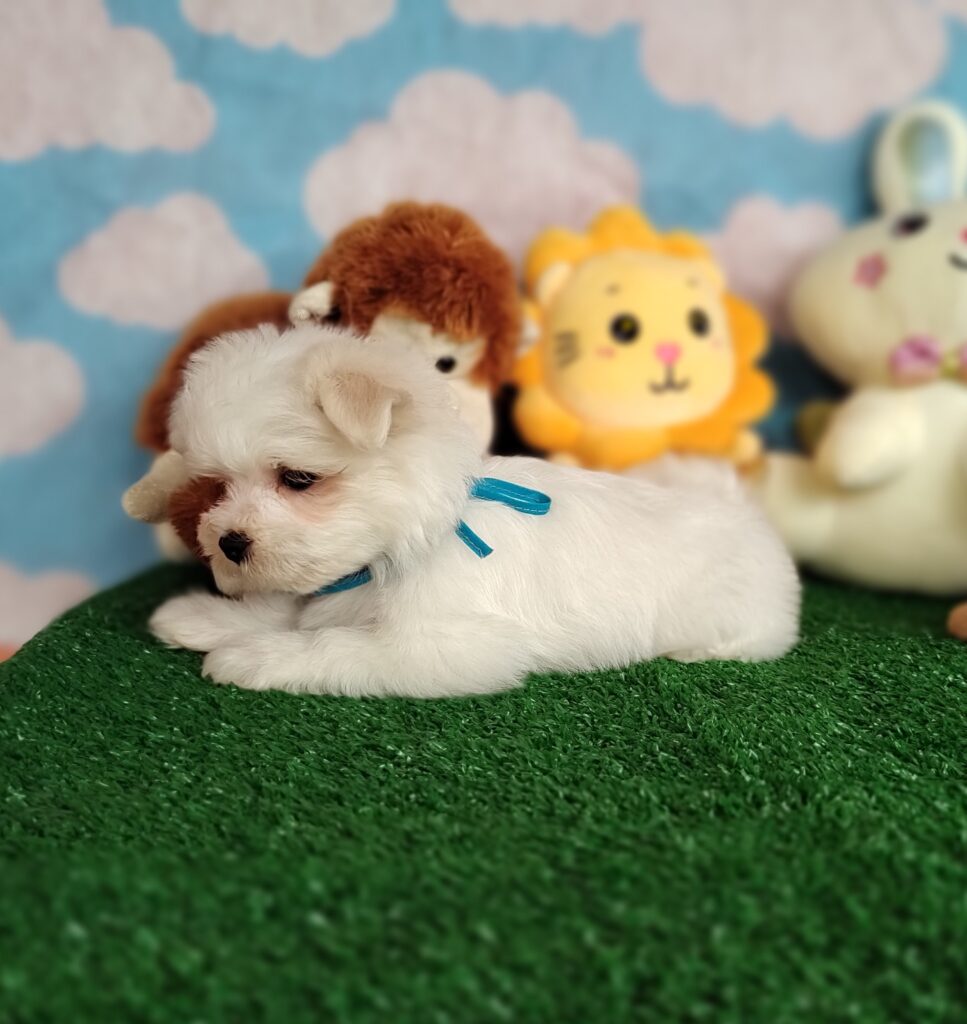 IMG_20231003_151309710_MF_PORTRAIT