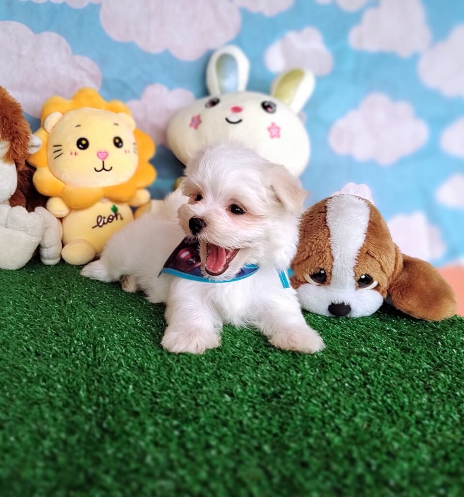 IMG_20231003_151328312_MF_PORTRAIT