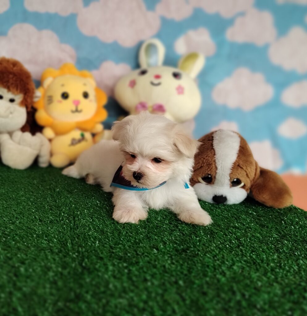 IMG_20231003_151330793_MF_PORTRAIT