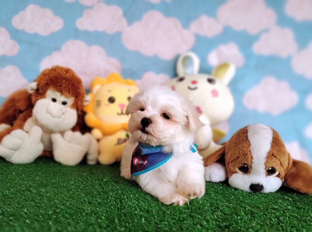 IMG_20231003_151332737_MF_PORTRAIT