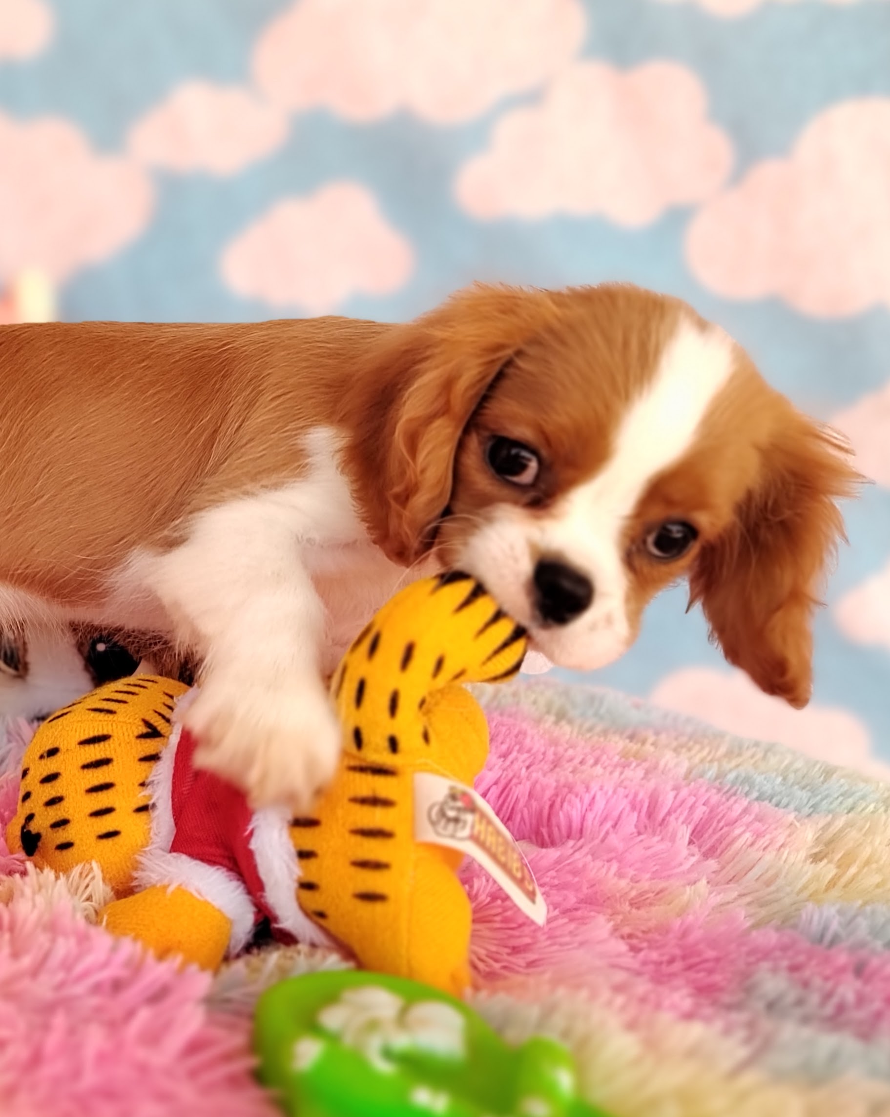 IMG_20231024_115602281_MF_PORTRAIT