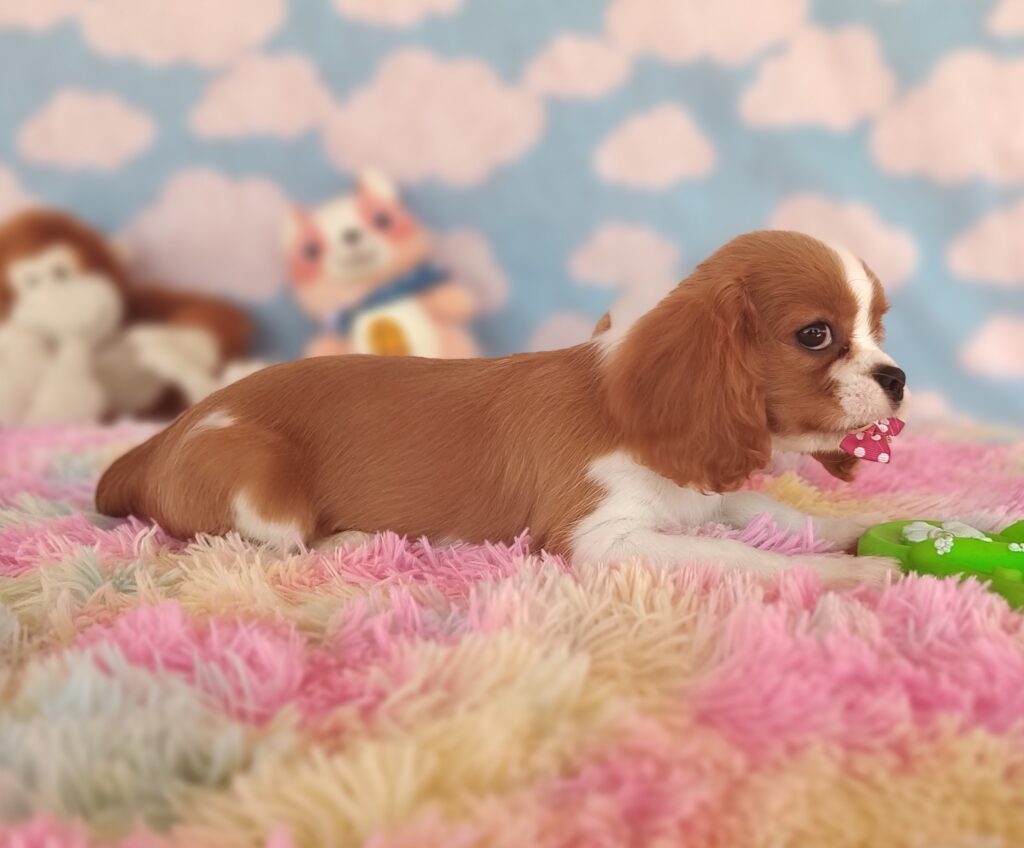 IMG_20231024_115825319_MF_PORTRAIT