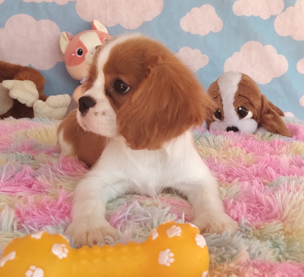 IMG_20231024_115941661