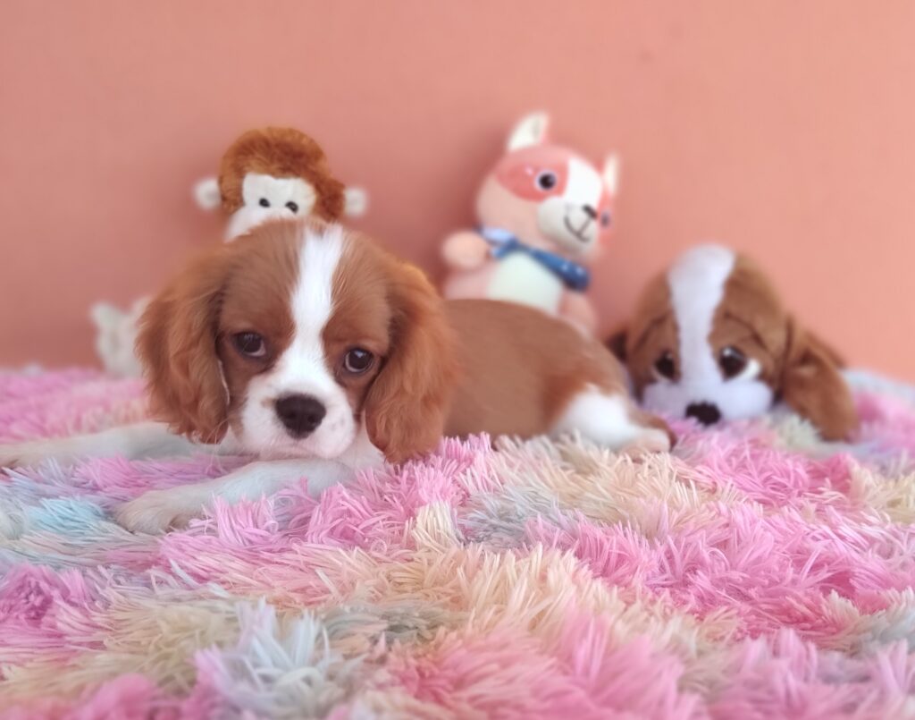 IMG_20231024_120102739_MF_PORTRAIT