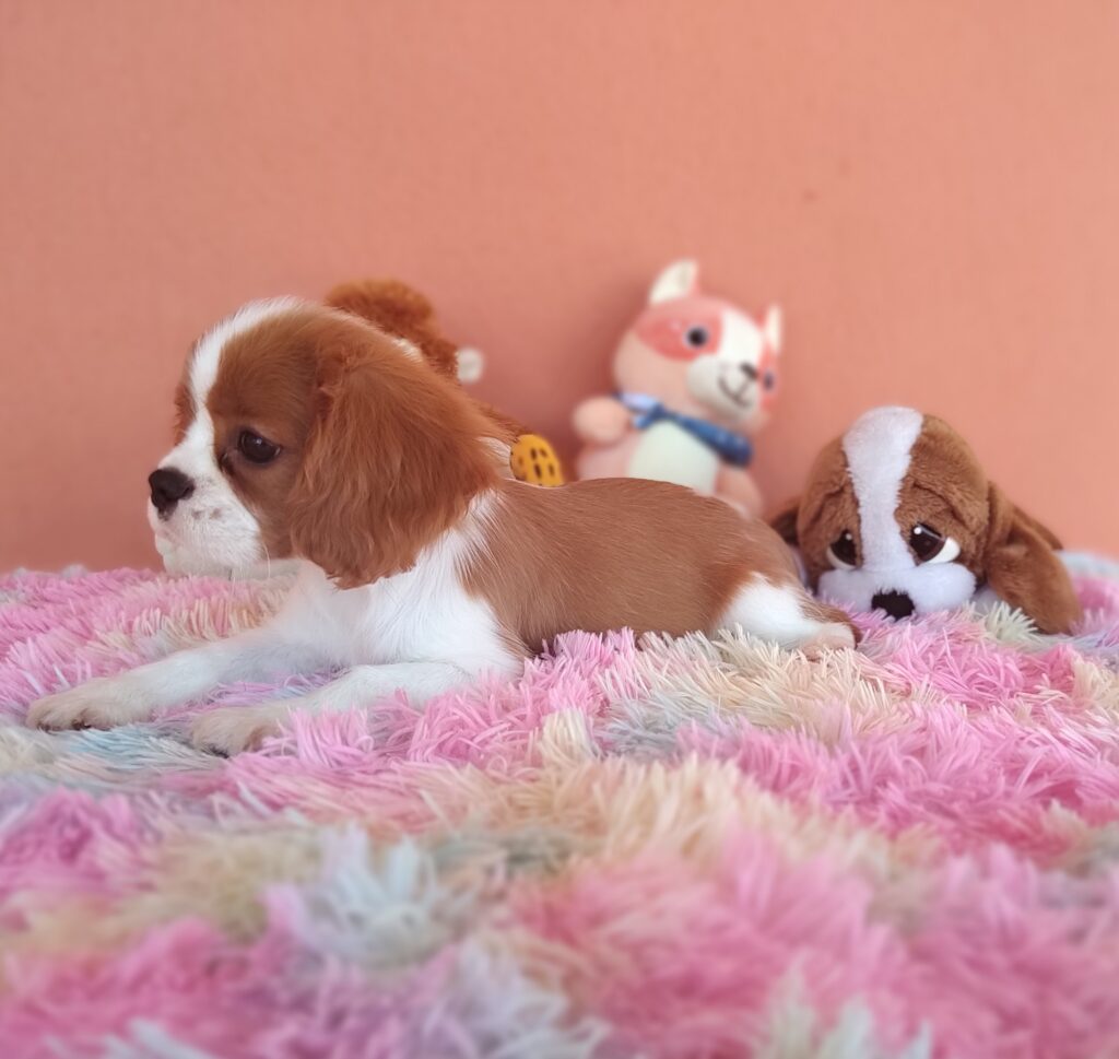 IMG_20231024_120113708_MF_PORTRAIT