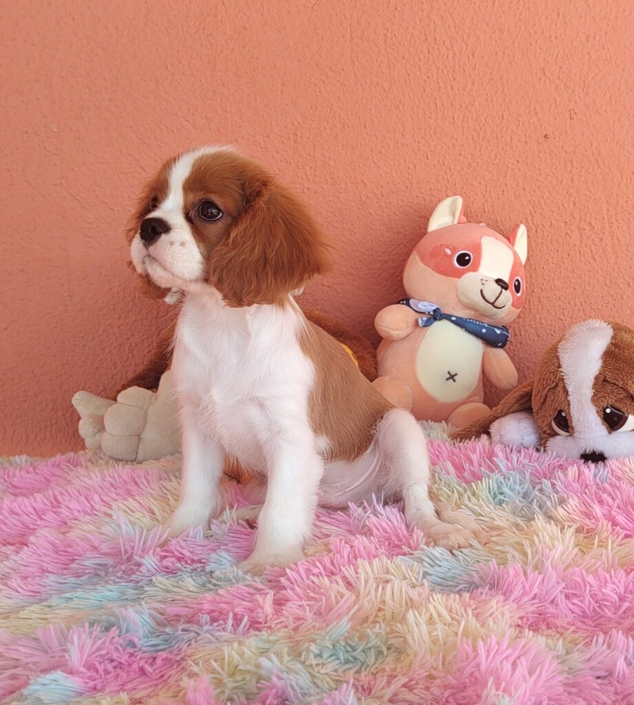 IMG_20231024_120235121