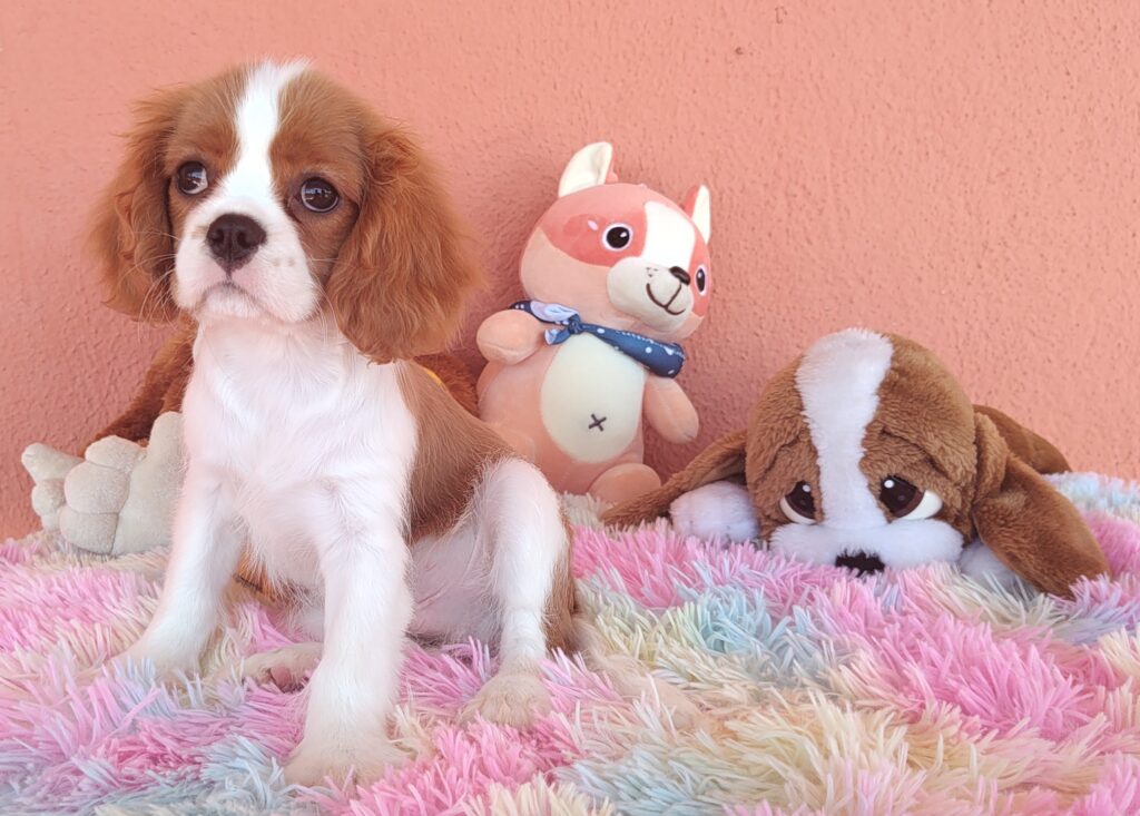 IMG_20231024_120258918