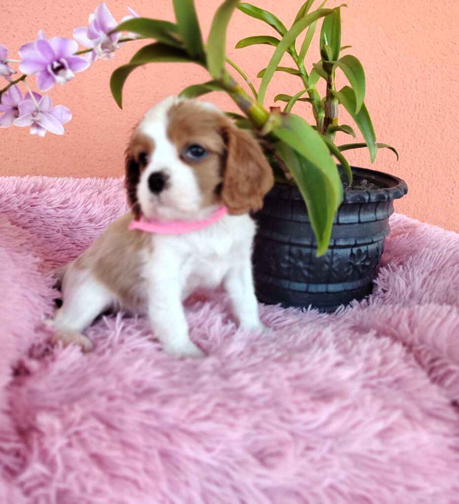 original_9253d32c-4ed3-463d-bf22-72ab21818b50_IMG_20230910_150253693_MF_PORTRAIT