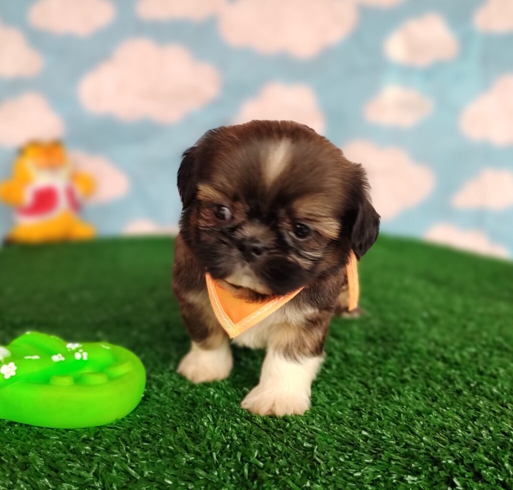 IMG_20231003_150437753_MF_PORTRAIT