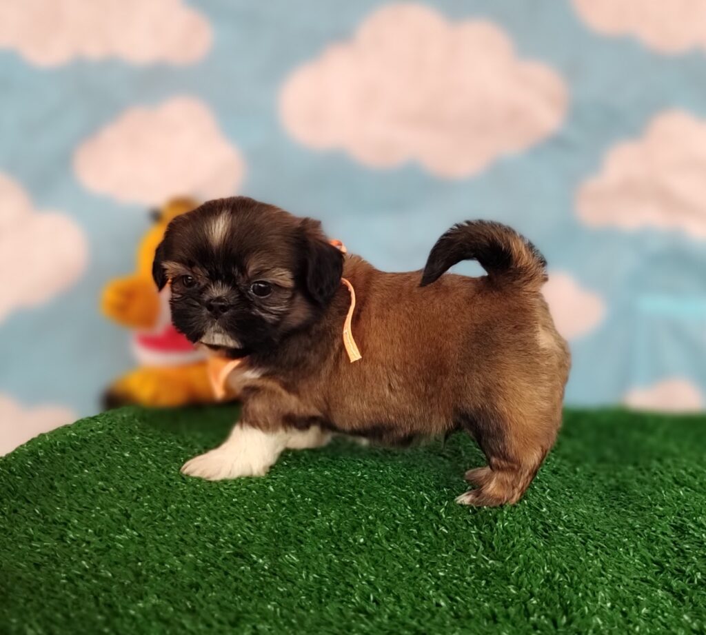 IMG_20231003_150445337_MF_PORTRAIT