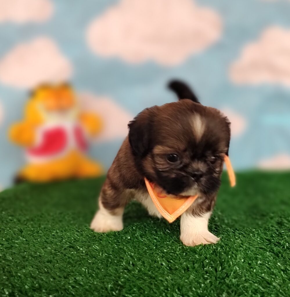 IMG_20231003_150446351_MF_PORTRAIT