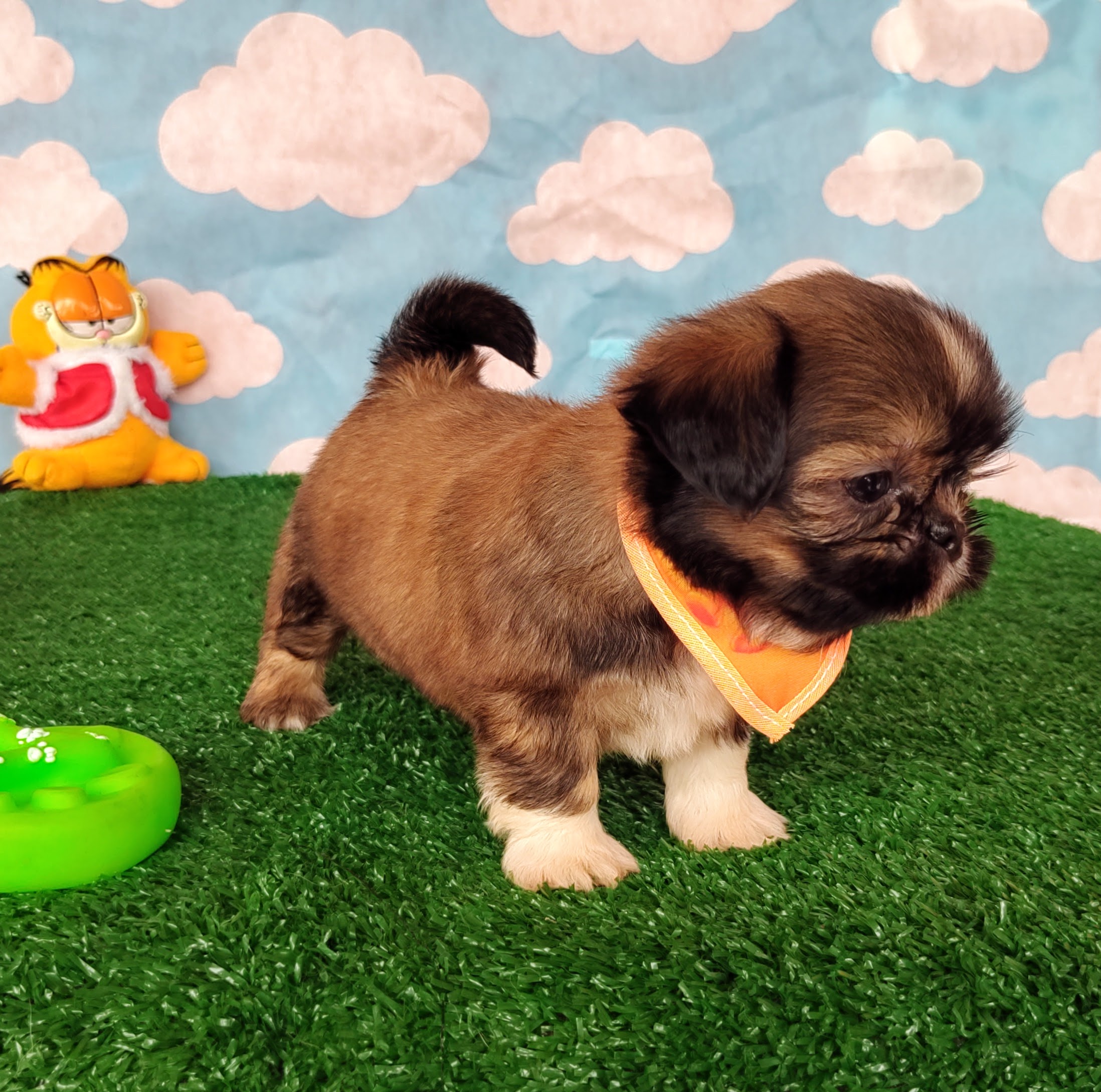 IMG_20231003_150602827