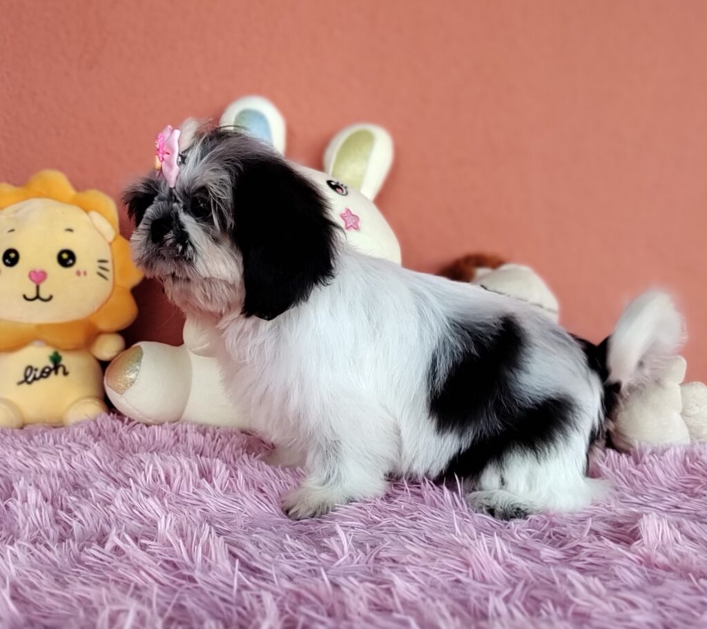 IMG_20231021_171444014_MF_PORTRAIT