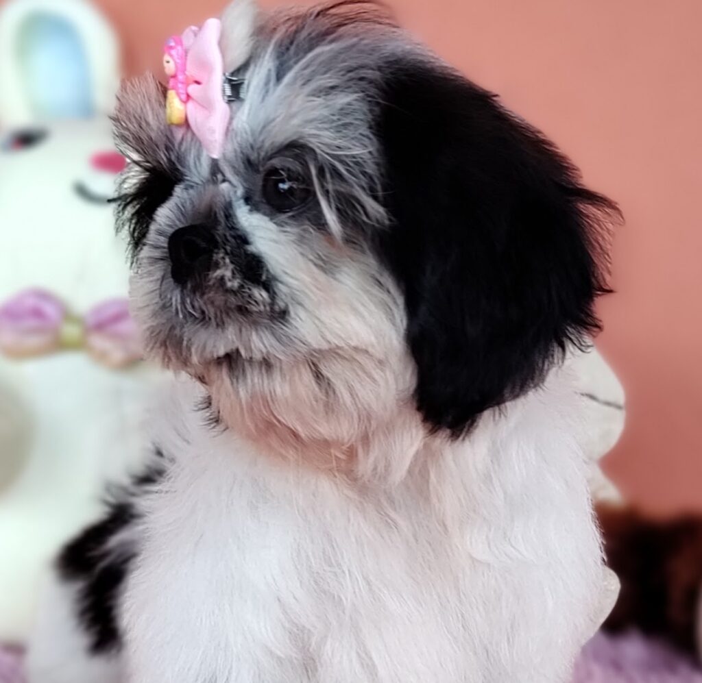 IMG_20231021_171523004_MF_PORTRAIT