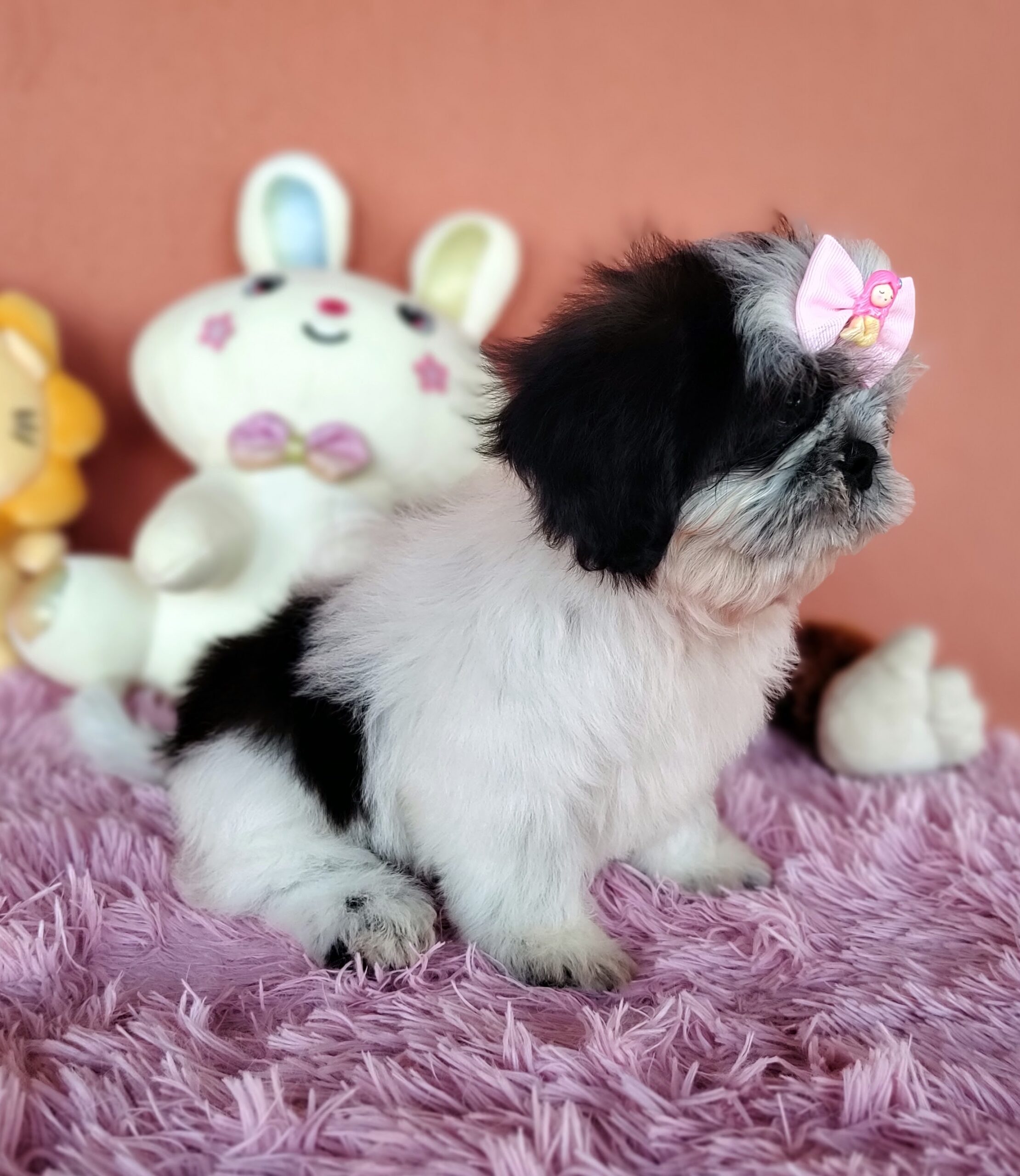 IMG_20231021_171548683_MF_PORTRAIT