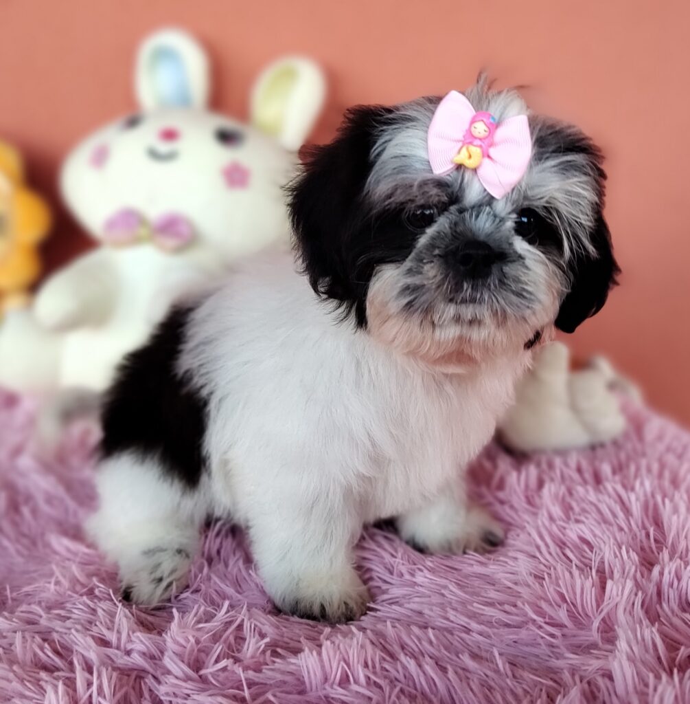 IMG_20231021_171558337_MF_PORTRAIT