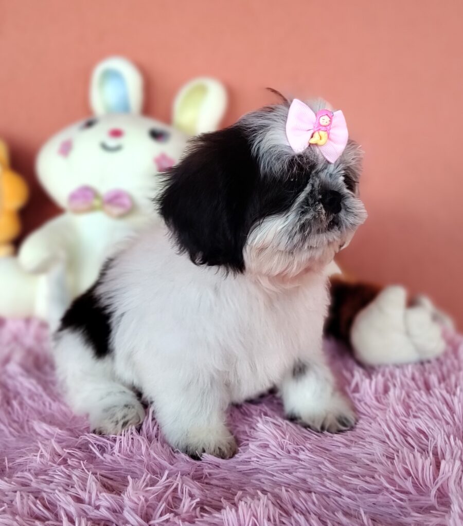 IMG_20231021_171559264_MF_PORTRAIT