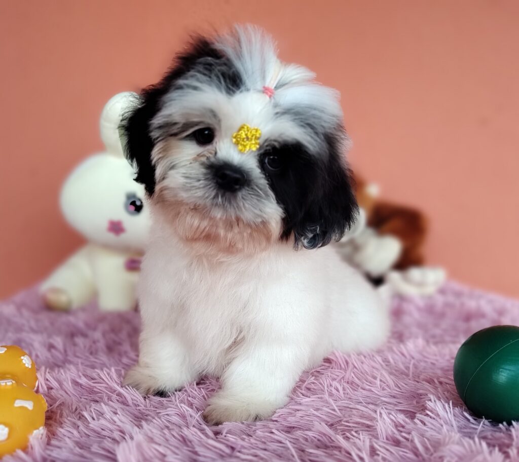 IMG_20231021_172134698_MF_PORTRAIT