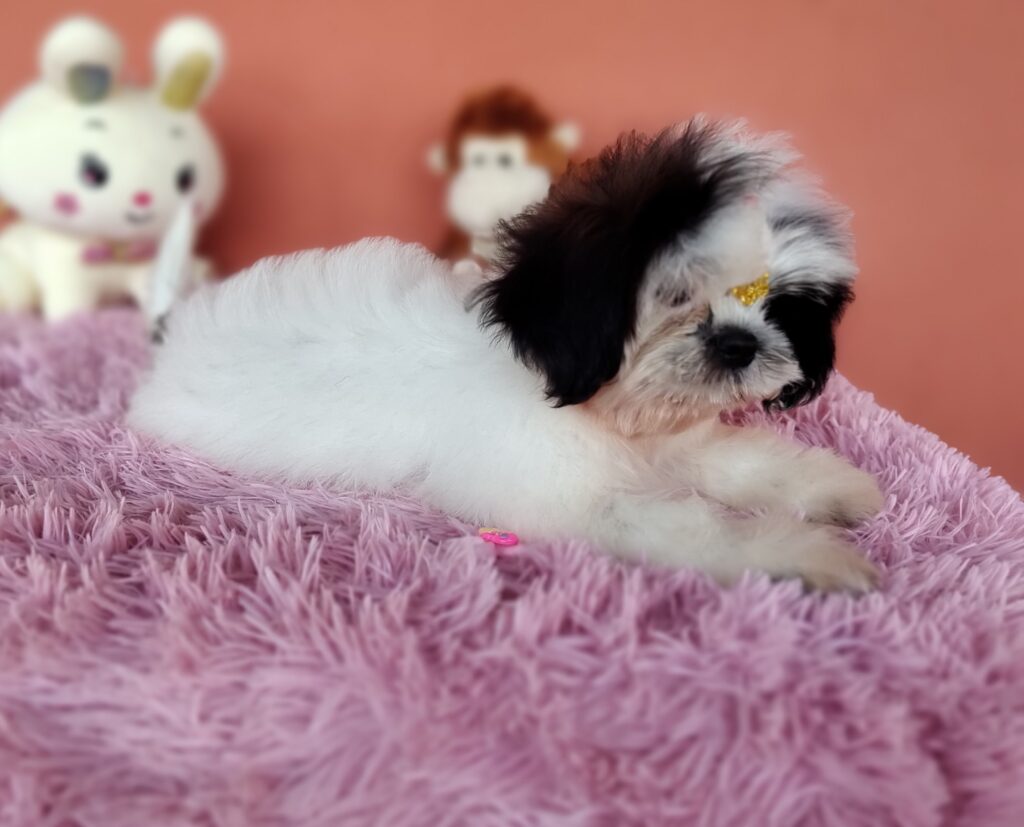 IMG_20231021_172332815_MF_PORTRAIT