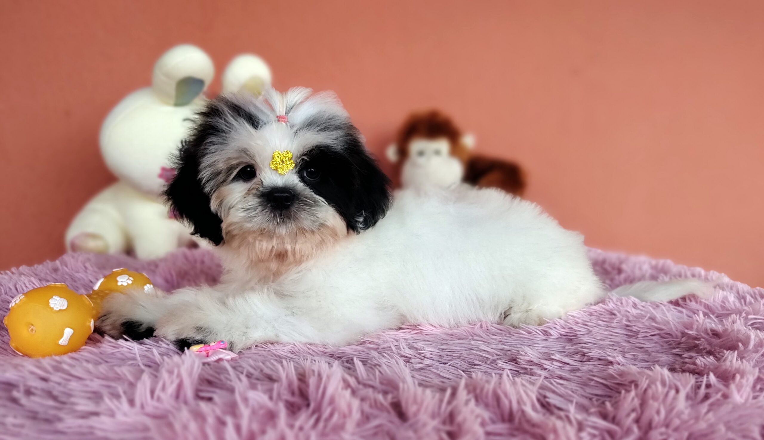 IMG_20231021_172401536_MF_PORTRAIT