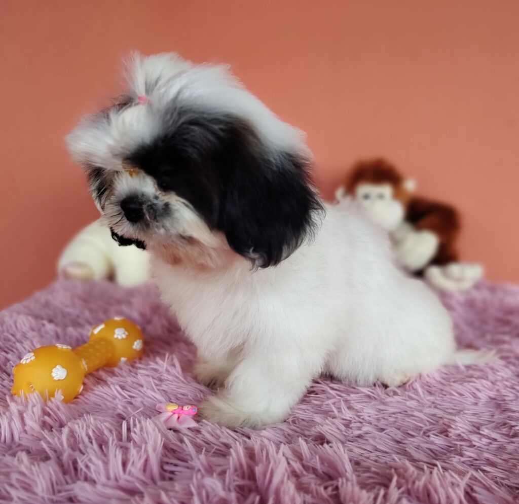 IMG_20231021_172427622_MF_PORTRAIT