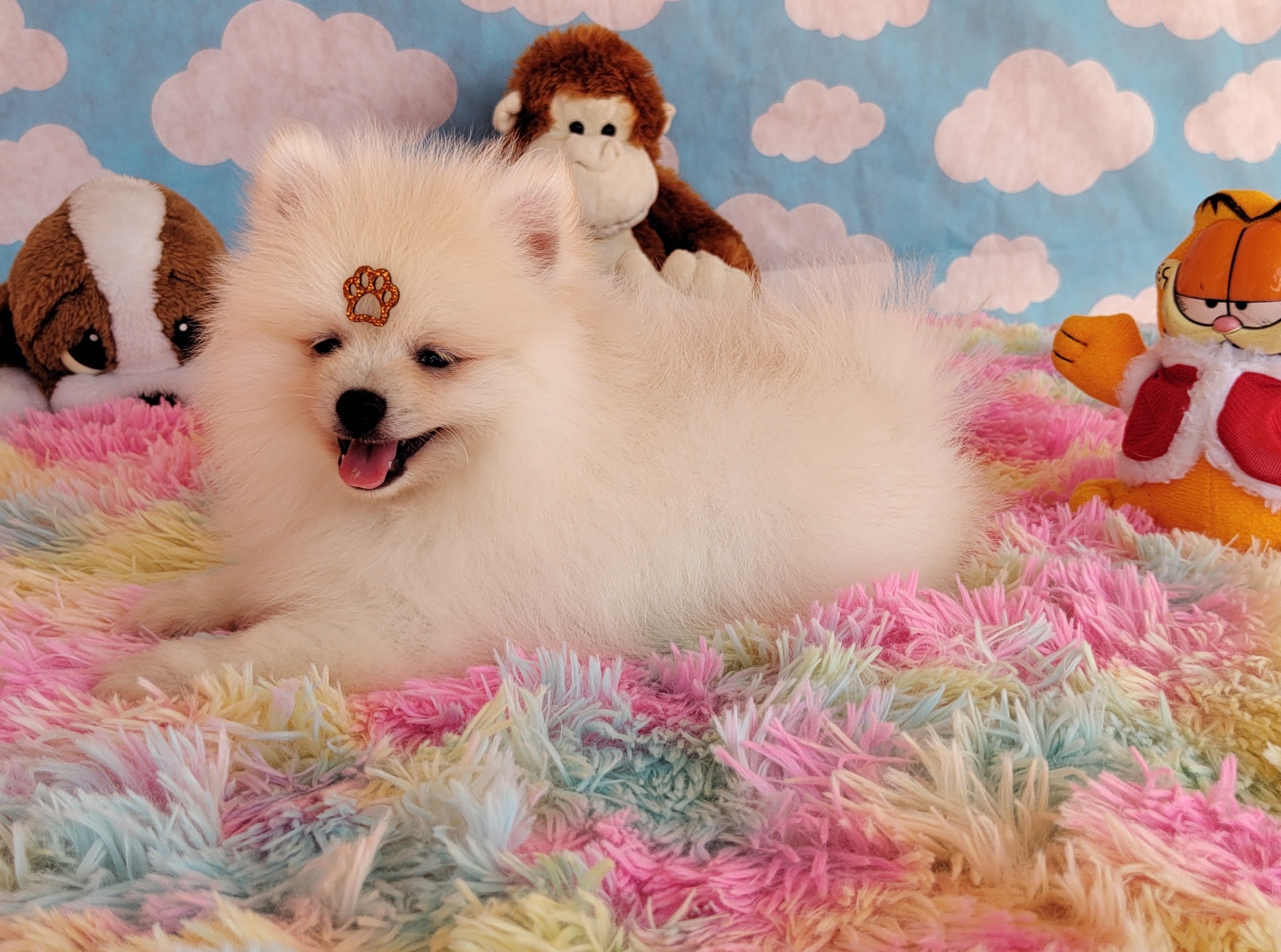 IMG_20231024_111633392