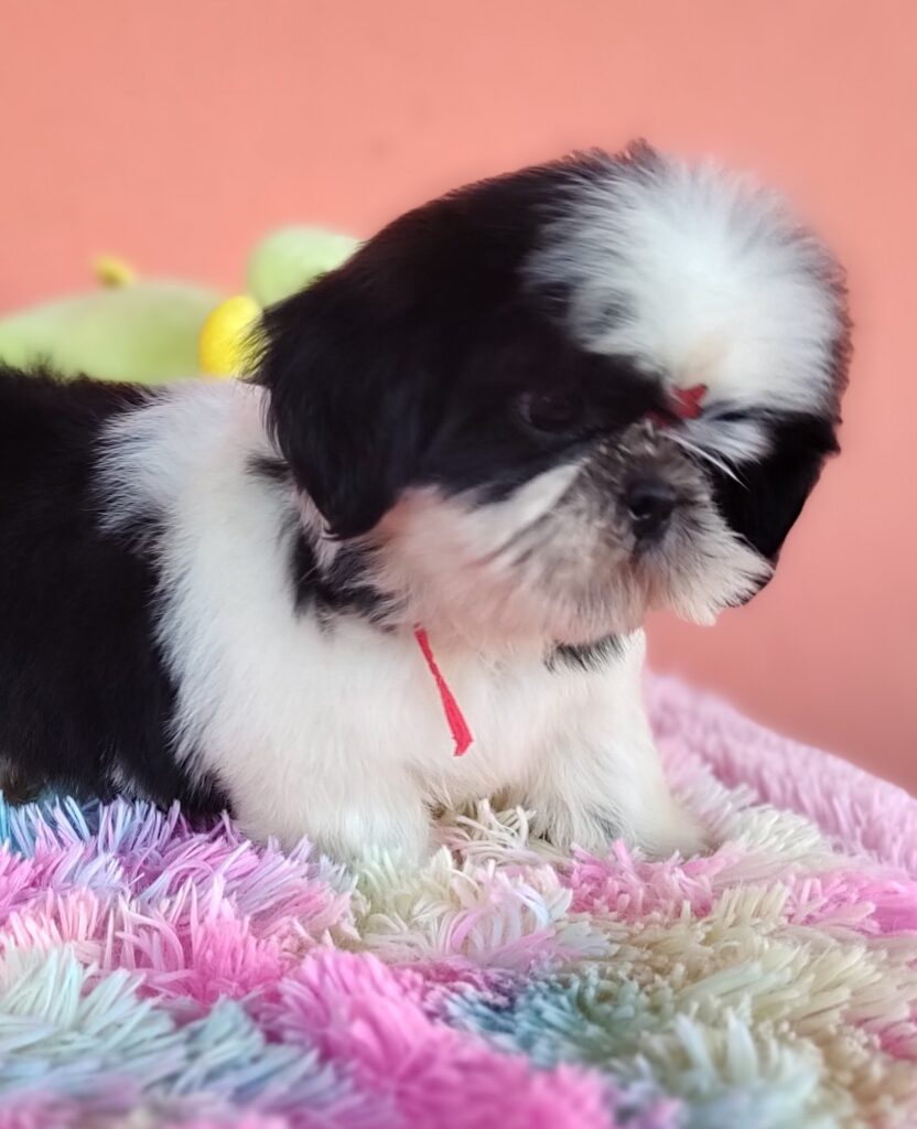 IMG_20231030_154116111_MF_PORTRAIT