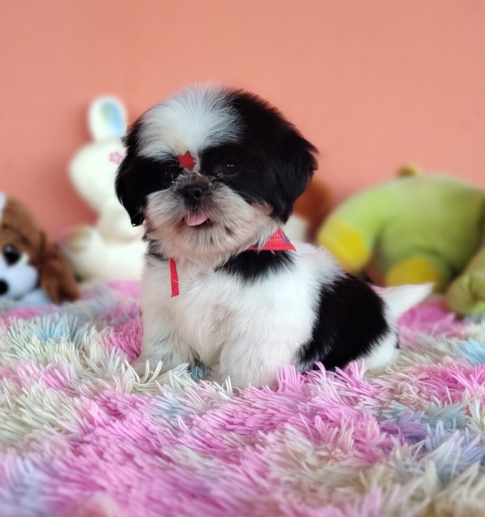 IMG_20231030_154127475_MF_PORTRAIT