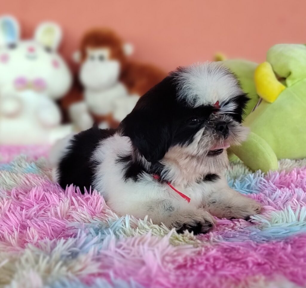 IMG_20231030_154154071_MF_PORTRAIT