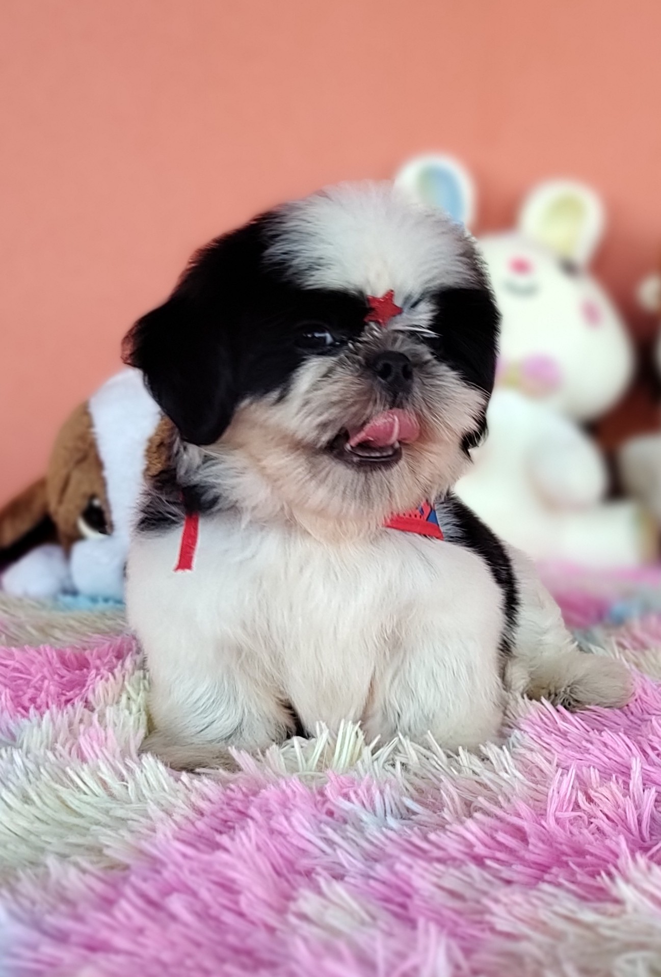 IMG_20231030_154305885_MF_PORTRAIT~2