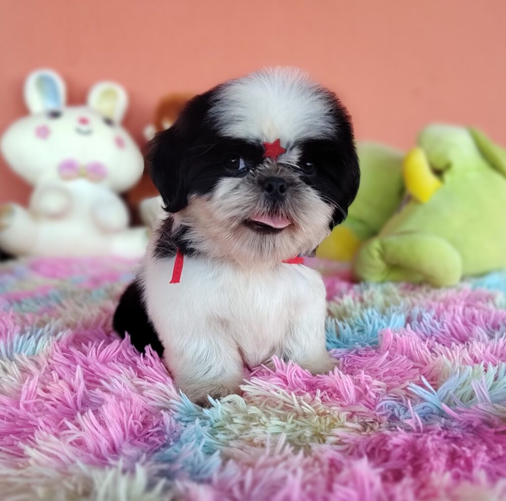 IMG_20231030_154318428_MF_PORTRAIT